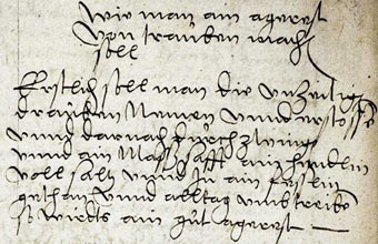 1553 Kochbuch der Sabina Welserin