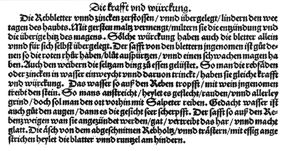 Aus: Leonhart Fuchs: New Kreterbuch.  Basel 1543, Kap. 29