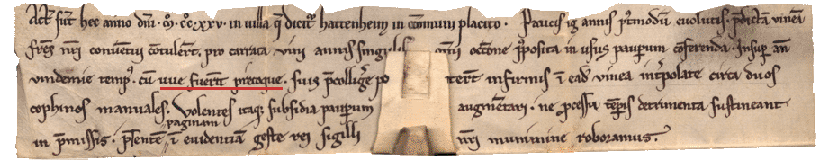 Ausschnitt aus der Urkunde von 1225