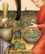 Ernte der grünen Beeren.  Aus: Tacuinum Sanitatis  um 1390