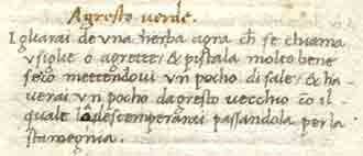 Maestro Martino um 1465