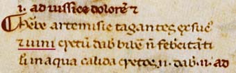 Pseudoapuleus, Handschrift 13. Jhd.