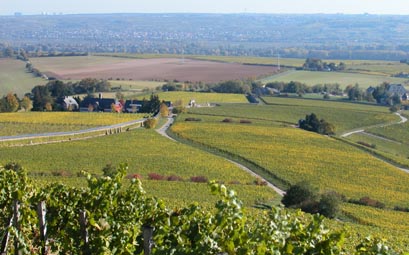 Der historische Steinberg, umgeben von Mauern